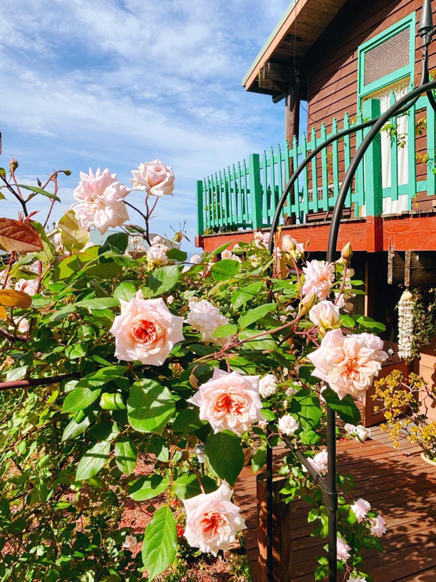 The Goat And Goose Bed & Breakfast Lakes Entrance Eksteriør bilde